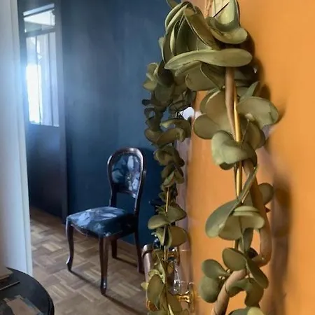 Appartamento Spacieux Et Lumineux Duplex Arty Au Centre De Sète