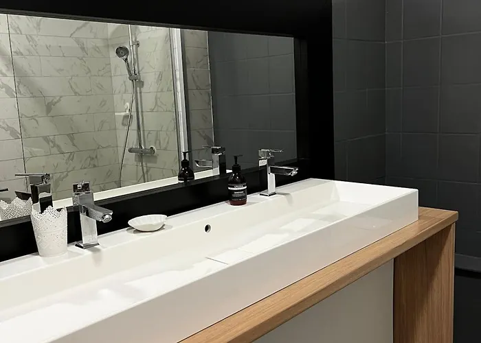 Διαμέρισμα Spacieux Et Lumineux Duplex Arty Au Centre De Σετ